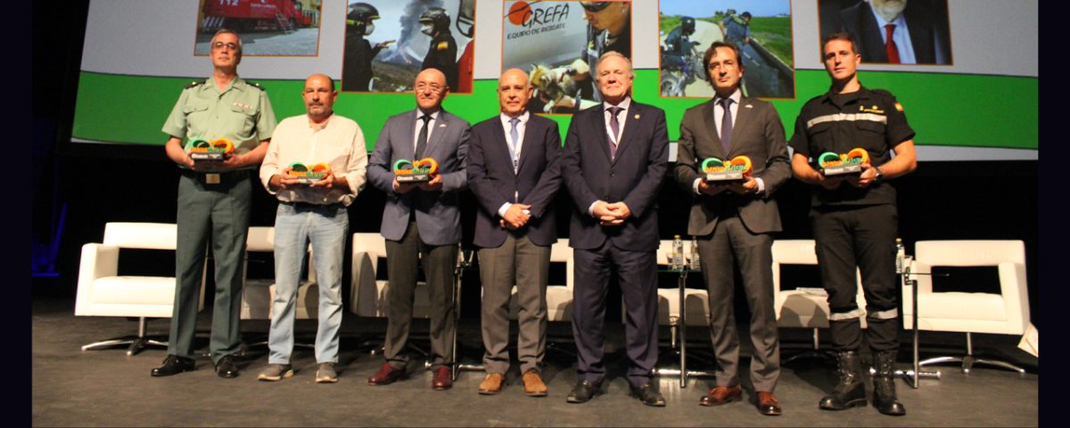 De izquierda a derecha, Juan José Díaz, Jefe de la Unidad de Protección de la Naturaleza de la Zona de Castilla-La Mancha (SEPRONA); Fernando Garcés, Secretario General de GREFA; Emilio Puig, Director General de Protección Ciudadana de Castilla-La Mancha; David Merino, Director General de Carreteras de la Junta de Castilla-La Mancha; Juan Francisco Lazcano, Presidente de la Fundación de la Asociación Española de la Carretera; Luis María Navarro, Director de la Fundación Typsa para la Cooperación, que recogió el Premio en nombre e Pablo Bueno, y Miguel Ángel Ballesteros, Jefe de Planes y Relaciones Institucionales del Primer Batallón de la UME.