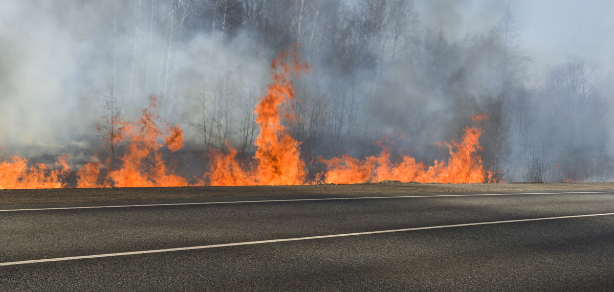 EDIT DG 2025 MINIATURA