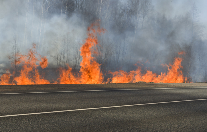 EDIT DG 2025 MINIATURA copia